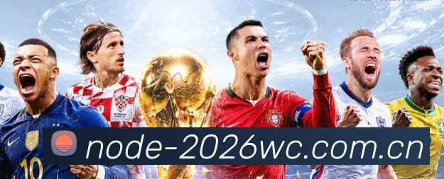 FIFA 官方数据授权认证